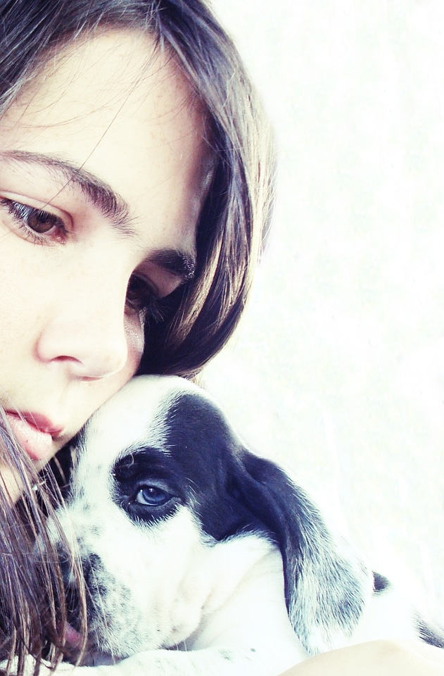 Pet animal young