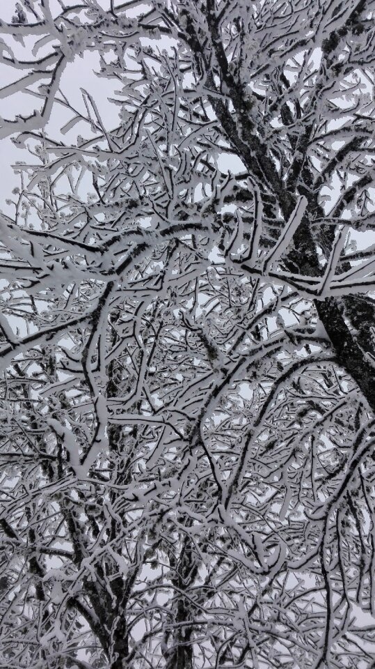 Freeze snowfall wintertime