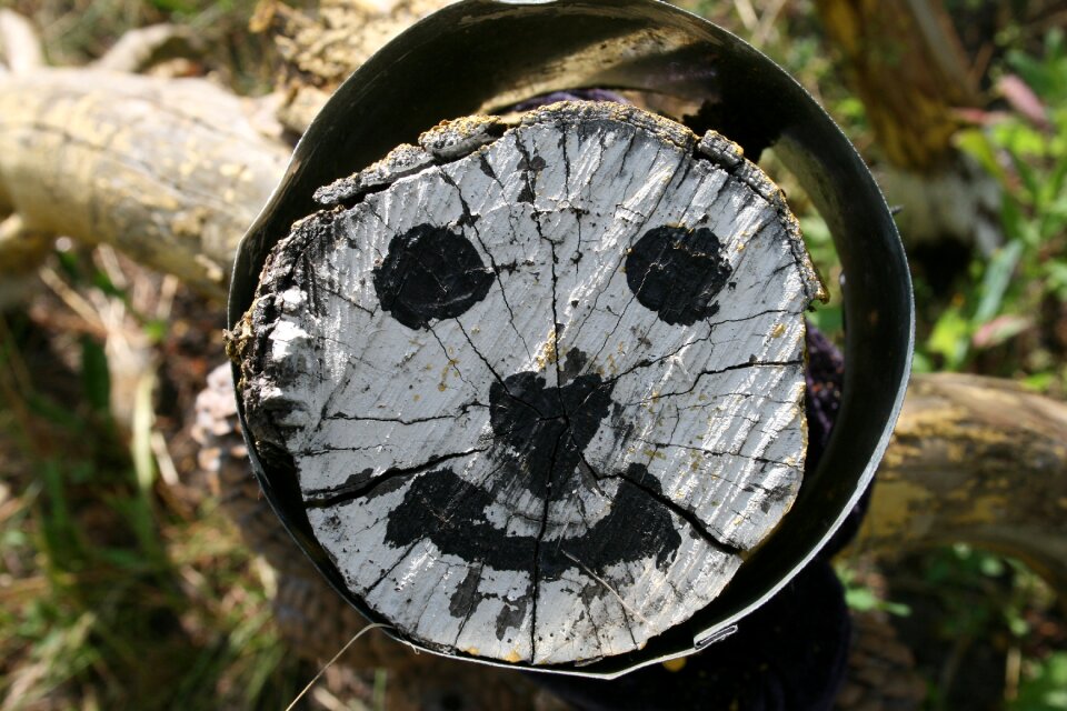 Figure logs forest