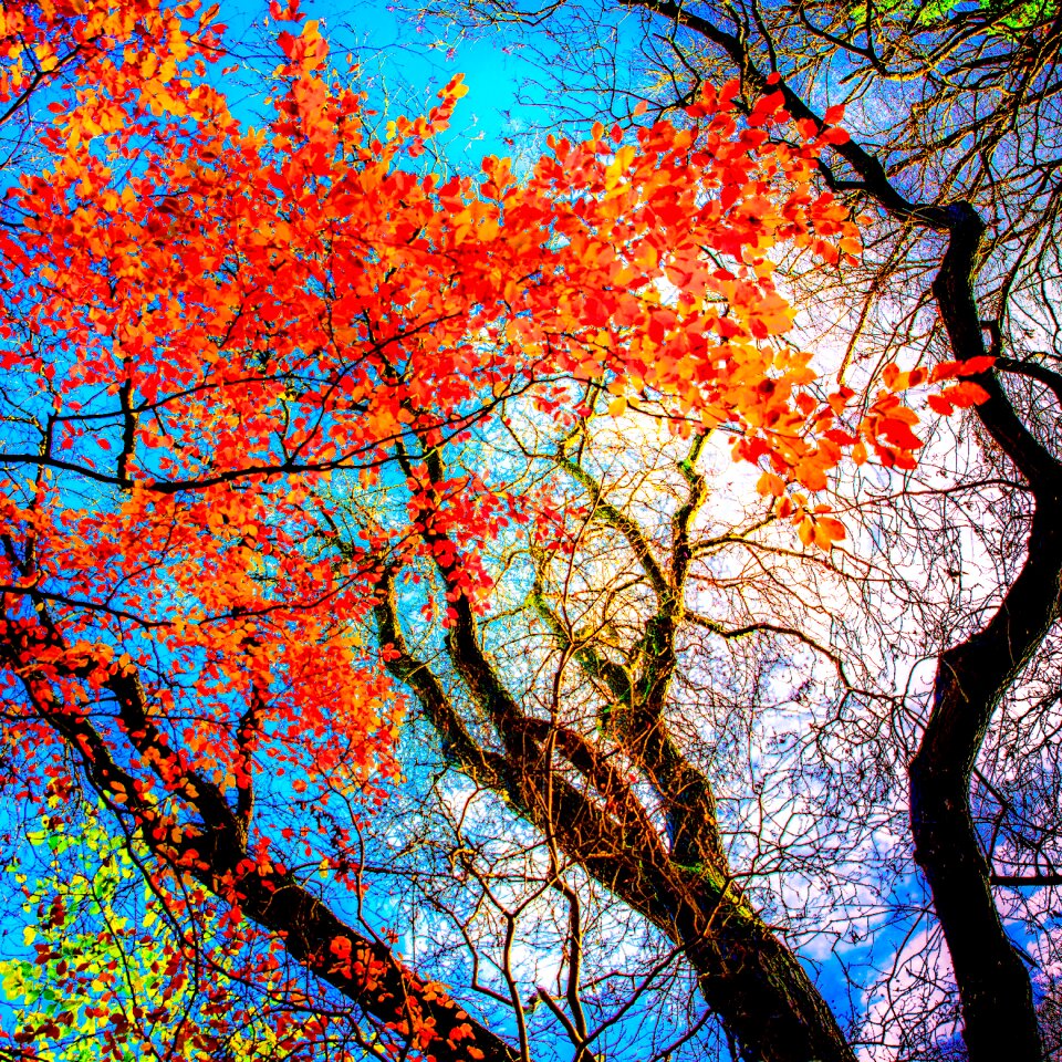 Nature season colour