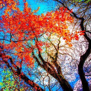 Nature season colour photo