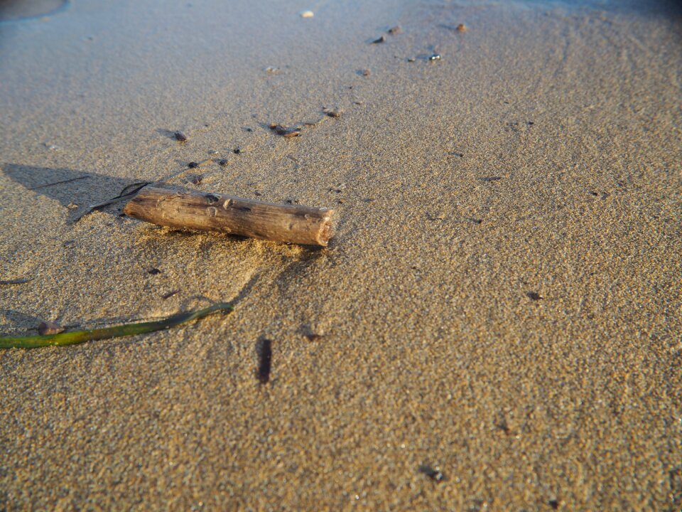 Beach traces background
