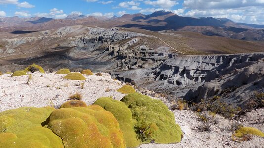 Bolivia andes altiplano