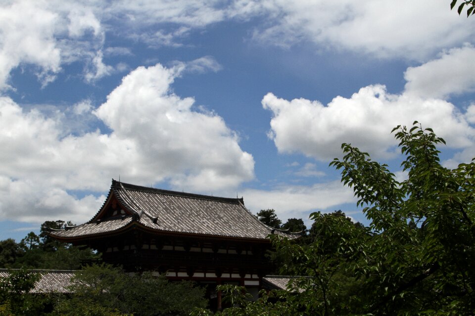 Sony blue sky nara
