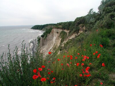 Beach bank nature photo