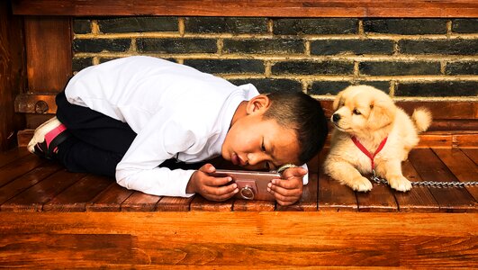 Kids dog attention