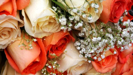 Bouquet of roses composition anniversary bouquet