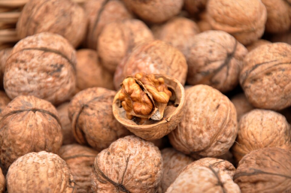 Fruit stone brown