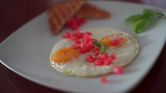 Food eggs bread