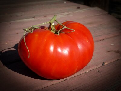 Ripe vegetable tomatoes photo