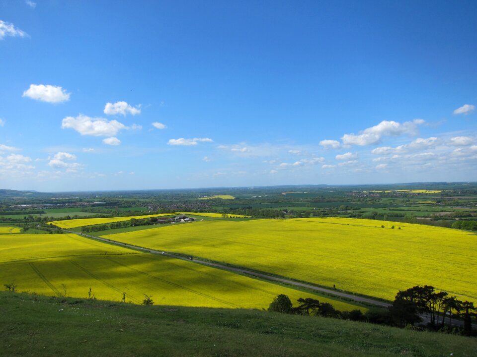 Countryside field rural