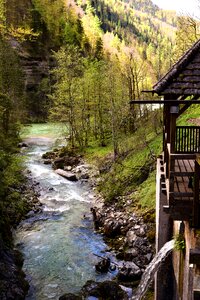 Landscape austria water