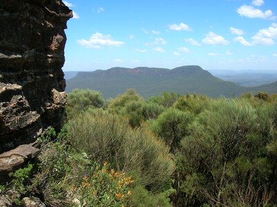 Hiking eucalyptus tea tree