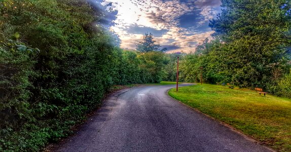 Road nature landscape