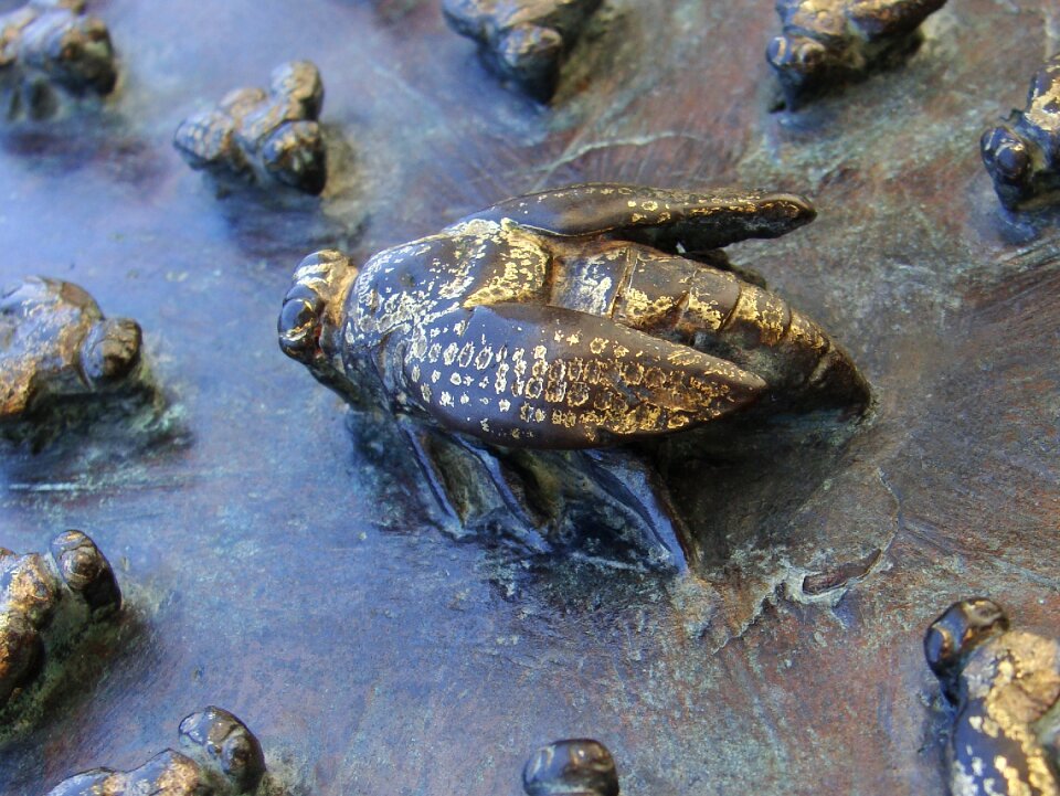 Metal honey close-up
