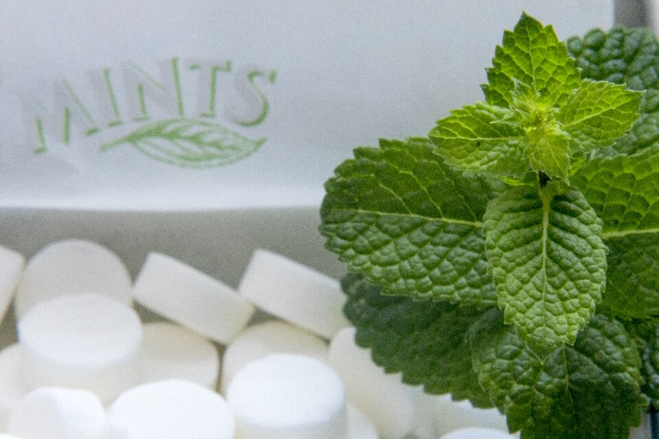 Foliage chill mints