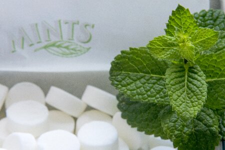 Foliage chill mints