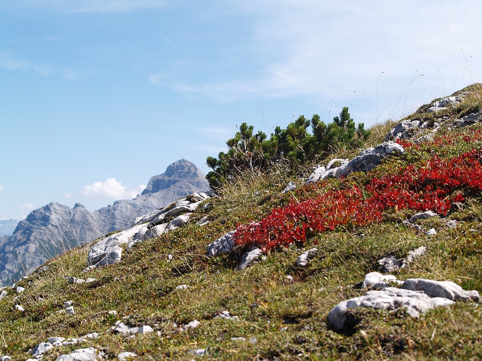 Autumn landscape stubaital