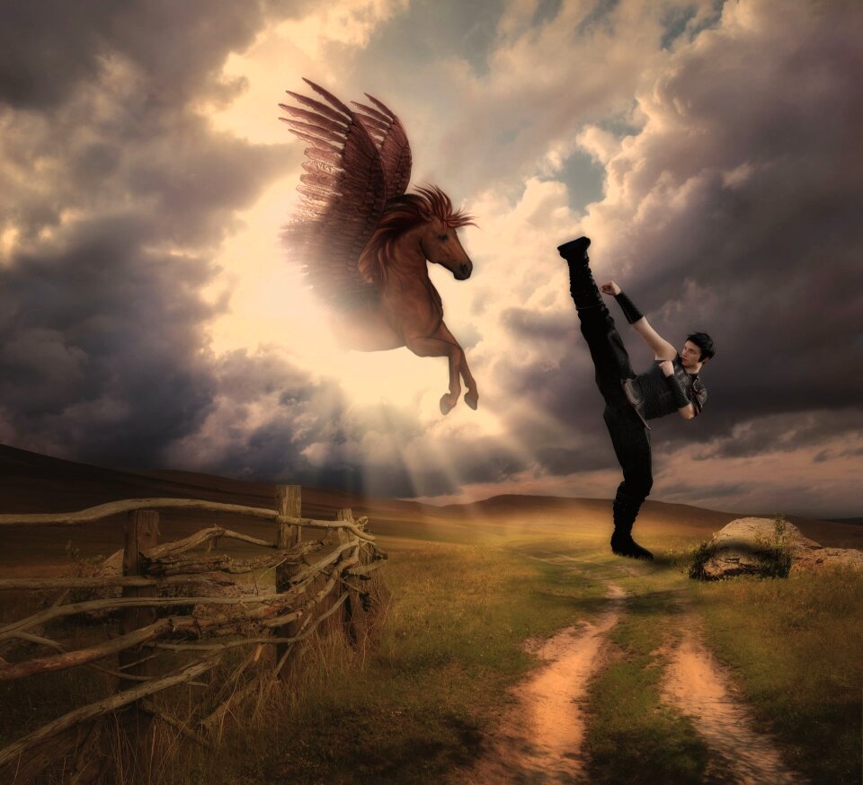 Sky martial arts man