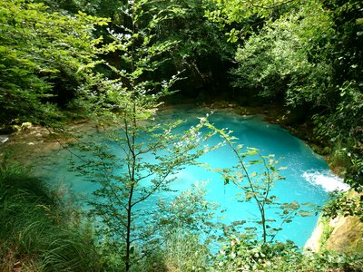 Forest blue lake photo