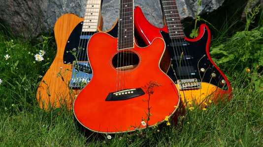 Music meadow flowers