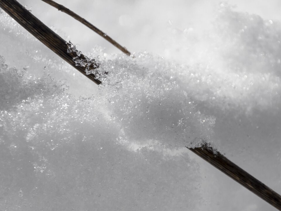 Winter nevado snowy landscape