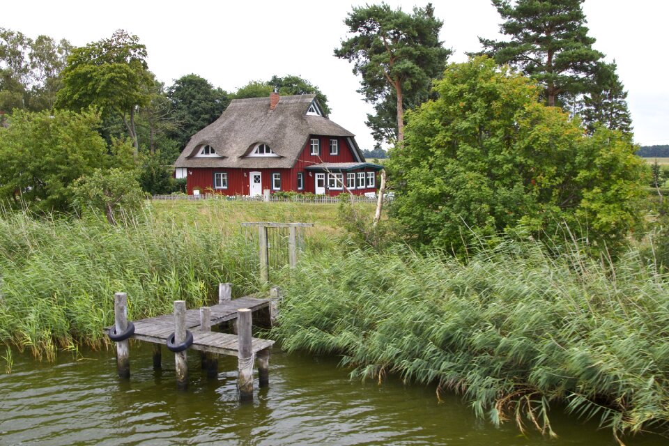 House web thatched roof