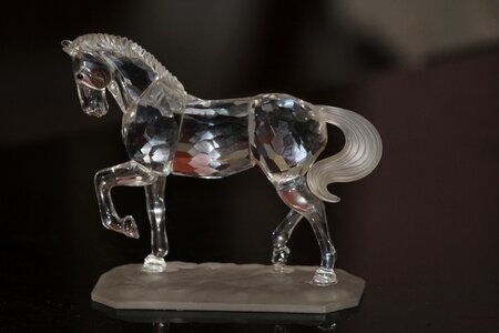 Shine crystal horse