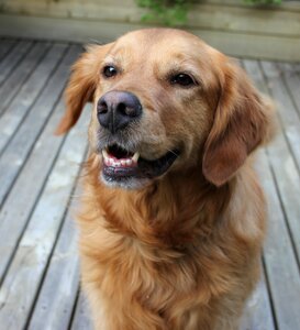 Smiling happy