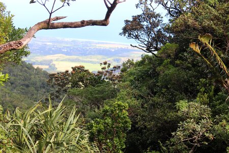 Nature scenic scenery