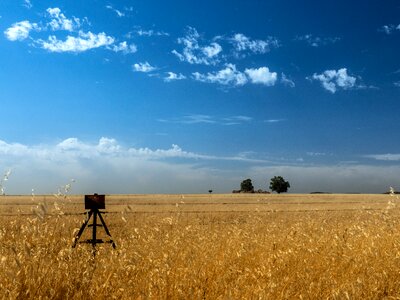 Straw harvest landscape