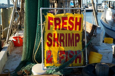 Boat seafood ocean