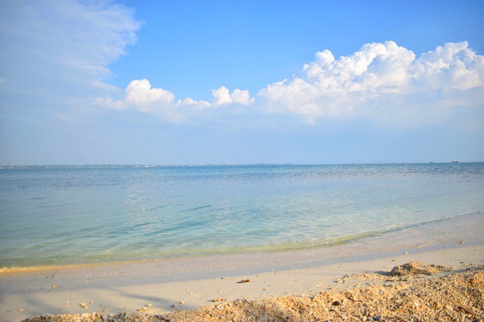 Summer tropical coast