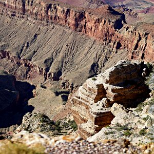 Park nature arizona photo