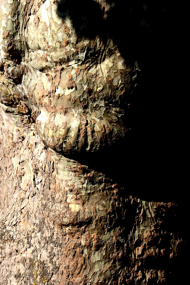 Grain light shadow