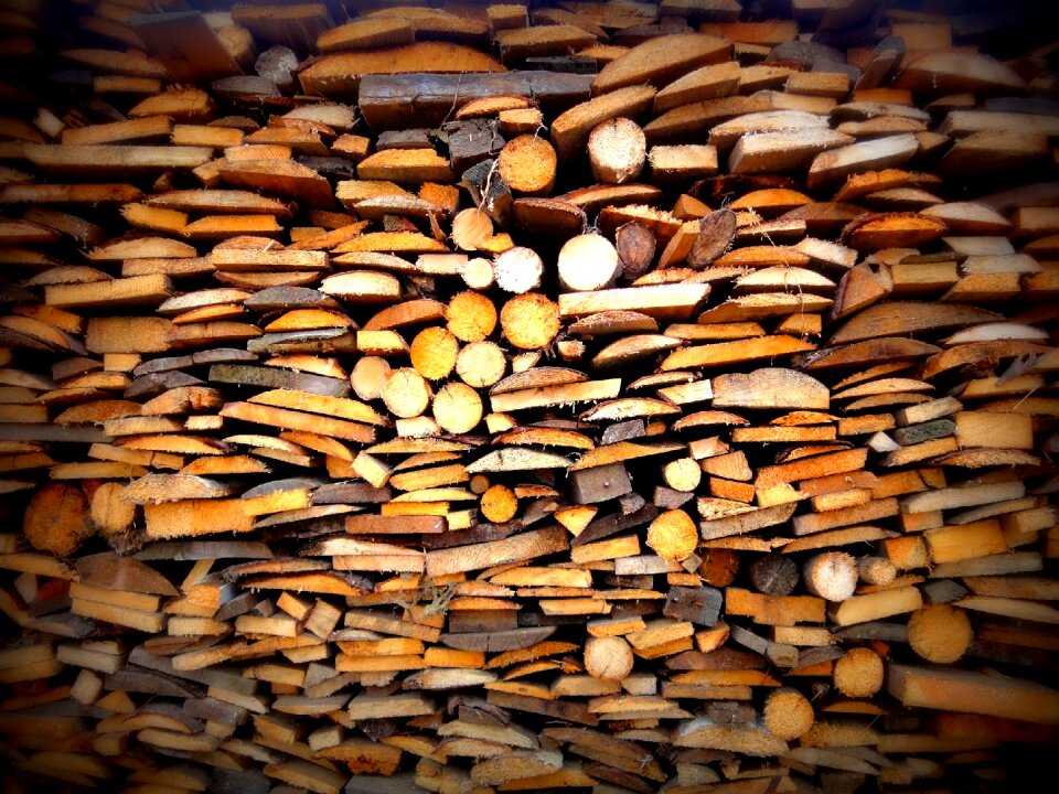 Firewood slice of wood interior