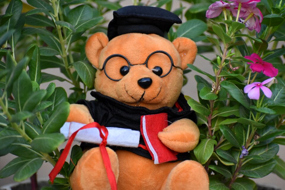 Green gift green graduation
