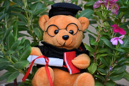 Green gift green graduation