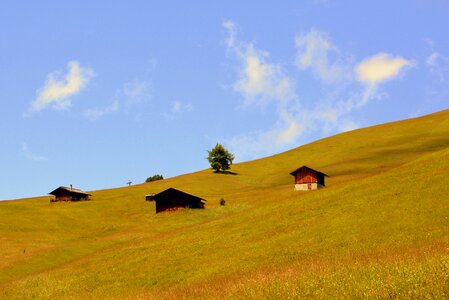 Prato sky grass photo