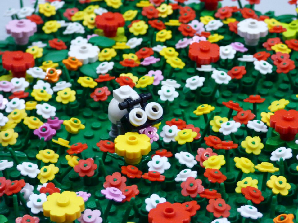 Flowers polyana cow
