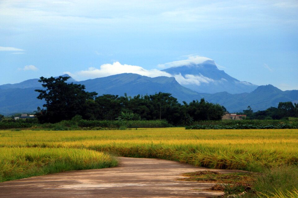 In rice field mountain fog