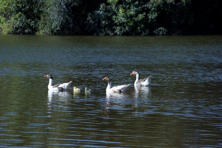 Nature lake