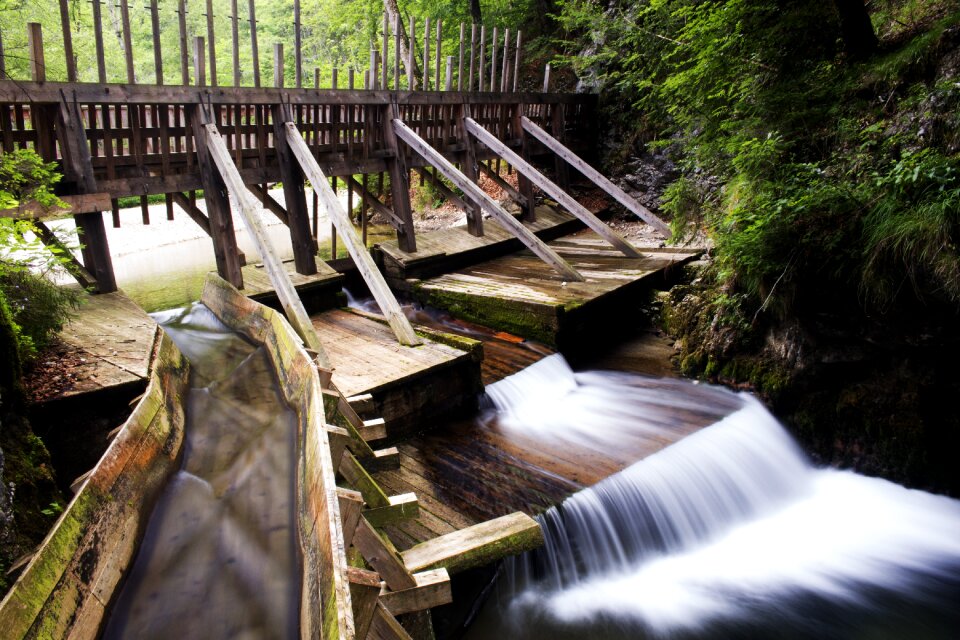 Mountain stream alpine forest