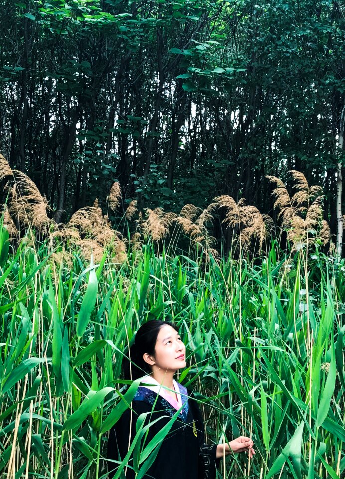 The wild character grass