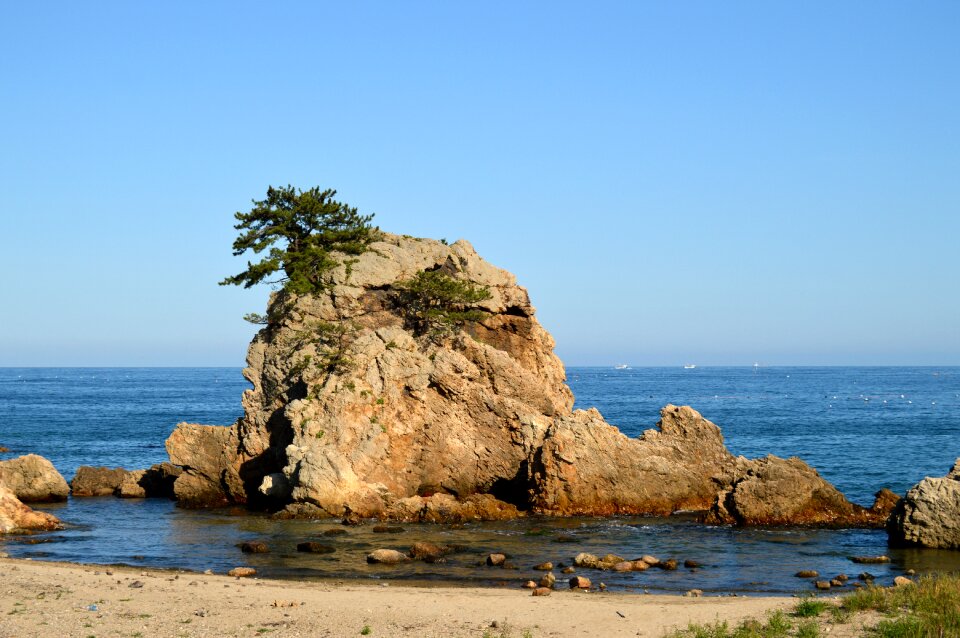Pine nature republic of korea
