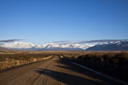 Landscape nature calafate
