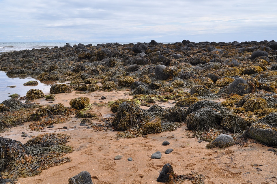 Rock black stone erosion
