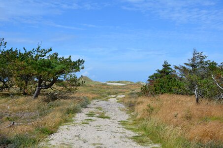 Dunes vacations summer photo