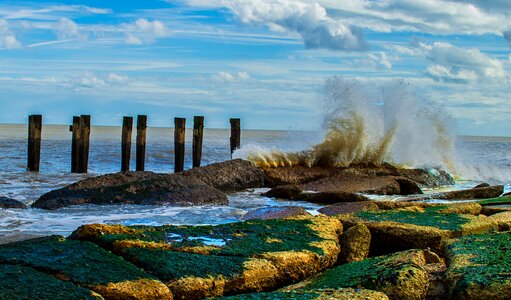 Wave coastline