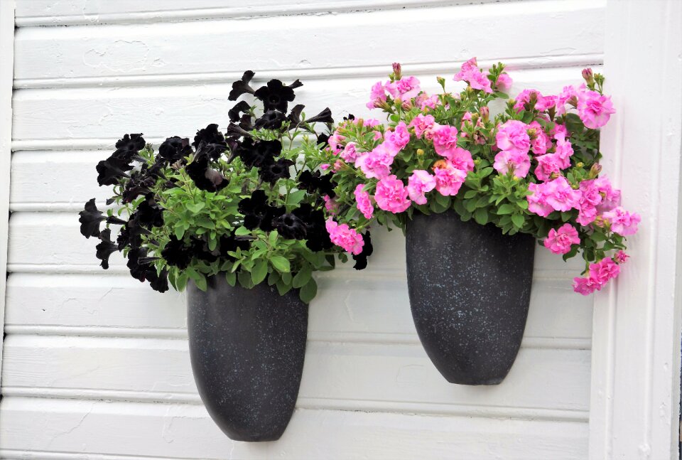 Flower decoration wall